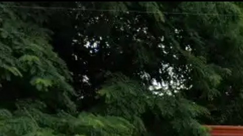 Los paramédicos llevaron al padre y a su hijo al Hospital Lagone de la Universidad de Nueva York en Brooklyn, donde el hombre mayor fue declarado muerto y el hijo estaba estable.